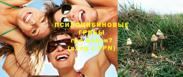 гидропоника Алзамай